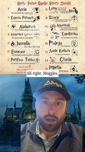 Latin Harry Potter Spells Are So Basic