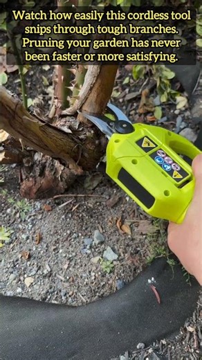 Effortless Garden Pruning With The Ryobi Cordless Power Tool
