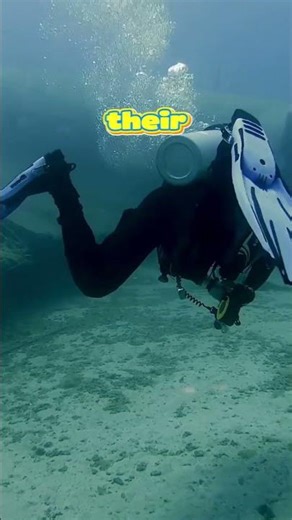 The Object That Kills Electronics: The Baltic Sea Anomaly. 🛸⚓ #deepsea #anomaly #marinemystery