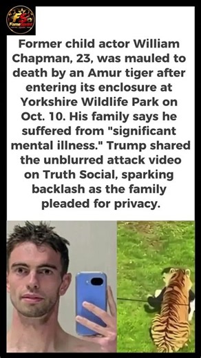Ex-Child Actor Mauled to Death by Tiger, Trump Posts Video