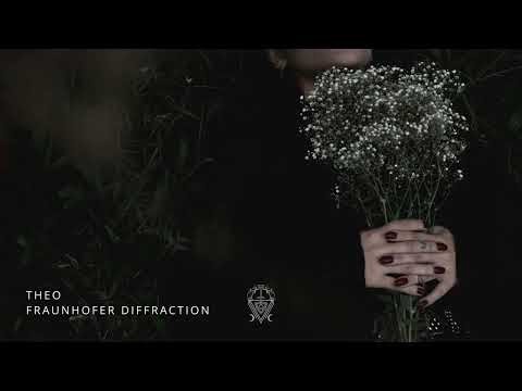 Theo - Fraunhofer Diffraction