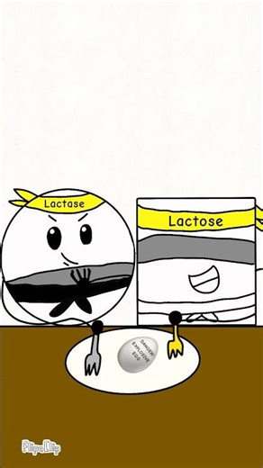 Never eat an explosive egg again! 😂💥 | Science Animations | How Lactase Breaks Down Lactose Part 2