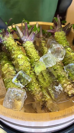 Exploring the Joy of Wasabi Mukbang Experiences