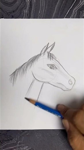 How to Draw a Horse Head 🐴