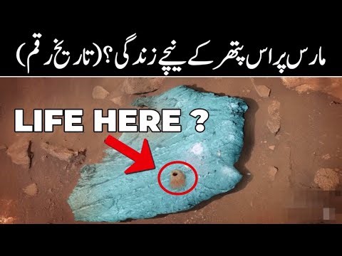 Nasa's Persevrance Rover Found The Proofs of Life on Mars