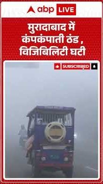 Weather News: ठंड और धुंध से Muradabad प्रभावित | ABPLIVE