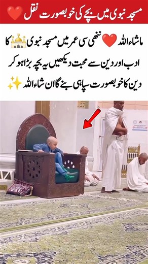 Future Islamic Scholar MashaAllah #islamicshorts #islamicstoriesinurduandhindi #birdcare #education