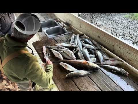 Louisiana Fishing Adventure | Big Redfish & Speckled Trout Catch!