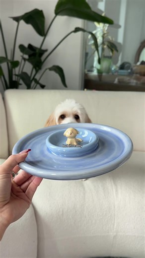 welcome to pottery things i NEVER showed you before!! ✨🫣🍵 lmk which ones ur fave #pottery #ceramics #hobby #jellycat #chipanddip