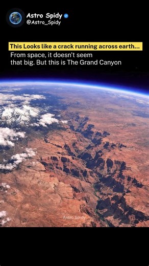 The Grand Canyon Looks Like a Giant Crack in Earth! 🌎😱 #shorts #viral #trending