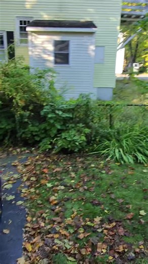 Exploring the World of Porsche Cars