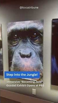 Step Into the Jungle!
