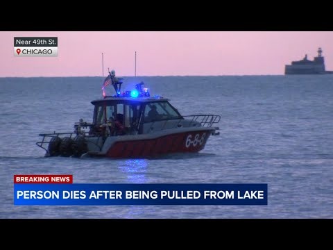 Person dies after being pulled from Lake Michigan near Hyde Park: police
