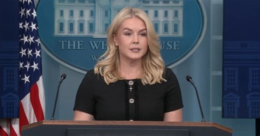 White House Press Secretary Holds Briefing