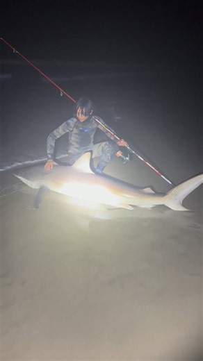 Ash Li on Reels