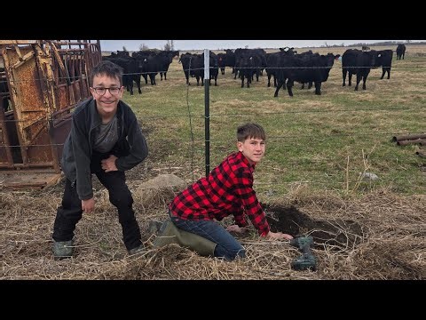 Types of Equipment we use to trap gophers and why! #oasisofpeacefarm #gopherpatrol #gophertrapping