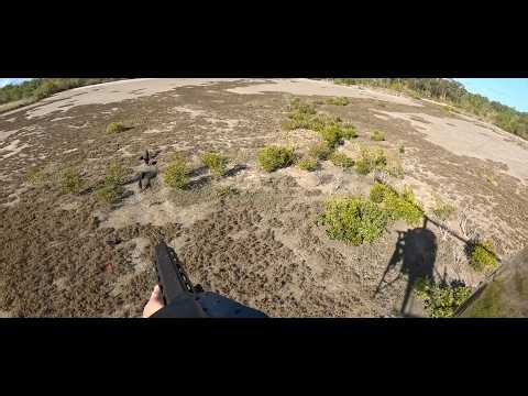 Feral Pig Control [] Aerial Operations [] North QLD