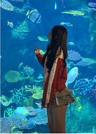 SEA LIFE Bangkok Aquarium Overview