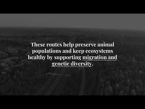 Wildlife Corridors Smart Urban Planning