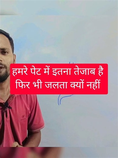 hcl in stomach
