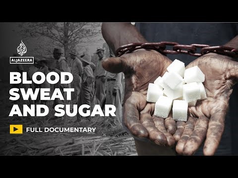 How sugar was built on a global system of slavery | Featured Documentary