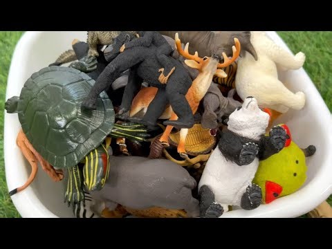 Finding Hidden Birds in Purple Sand! 🦅💜 Surprise Egg & Dump Truck #PinoyKidsChannel