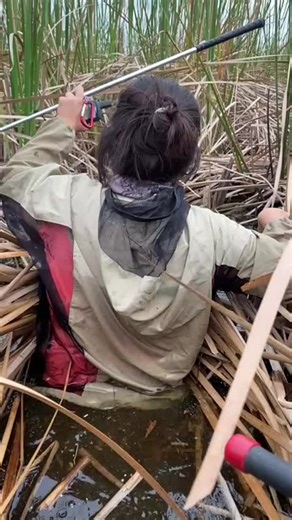 Looking for pythons in all the wrong places