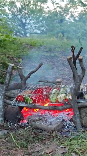 🔥 Campfire Veggies & Samovar Tea in the Forest