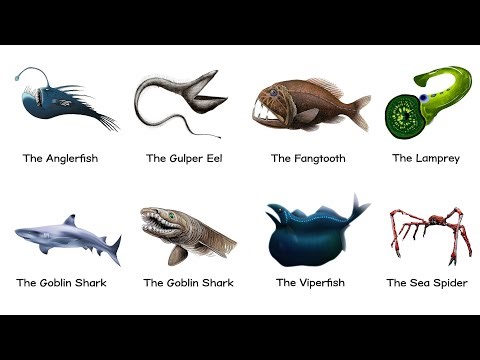 Every DEEP SEA Predator Explained in 12 Minutes
