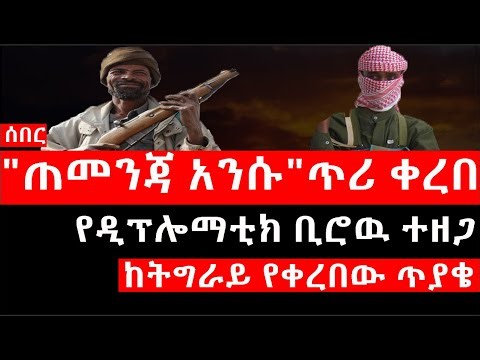 Ethiopia: ሰበር ዜና -የኢትዮታይምስ የዕለቱ ዜና|"ጠመንጃ አንሱ"ጥሪ ቀረበ|የዲፕሎማቲክ ቢሮዉ ተዘጋ|ከትግራይ የቀረበው ጥያቄ|በነክርስቲያን አዲስ ምላሽ