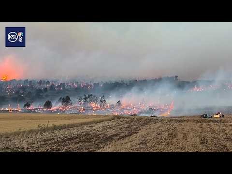 Monticello farmers save crops and homes