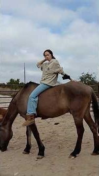 How I got Acero 🐴