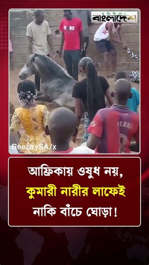 আফ্রিকায় ওষুধ নয়, কুমারী নারীর লাফেই নাকি বাঁচে ঘোড়া! | Protidiner Bangladesh