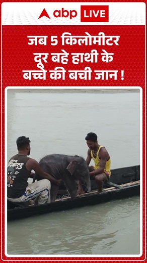Elephant Rescue : जब 5 किलोमीटर दूर बहे हाथी के बच्चे की बची जान ! | #elephantrescue #teestariver
