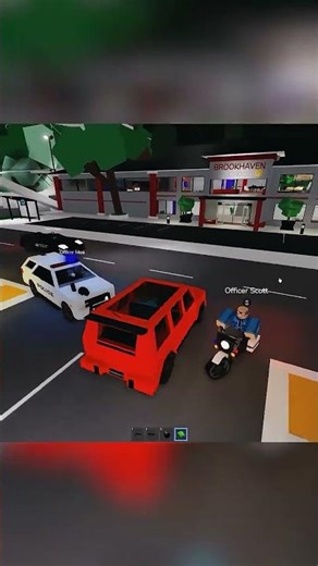 robbing stores on brookhaven rp