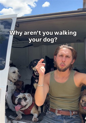 🚨 What’s the easiest way to start tackling your dog’s behavioural issues? 👀 WALK YOUR DOG! 🚶‍♂️🐕 It sounds simple, but regular exercise is one of the most overlooked parts of dog training. A dog that isn't getting enough physical exercise or mental stimulation can develop frustration, excess energy and unwanted behaviours. Before looking for complicated solutions, ask yourself… are you meeting your dog's basic needs? Sometimes the biggest changes start with the simplest things! 👊 #dogtraini