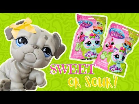 I FOUND the New LPS Sweet & Sour Pets?! 🍬✨