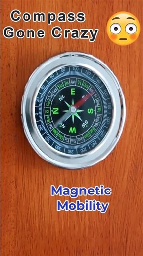 1. Magnet Meets Compass😳Needle Went Crazy! #Physics #YTShorts #Experiment #Educational #Magnetism