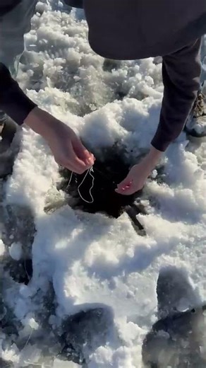 Beautiful Southern Maine Brook Trout Ice Fishing