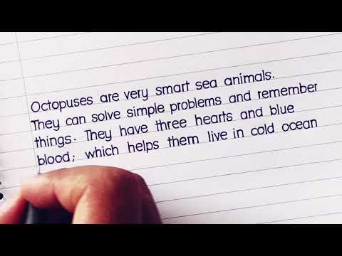 Print Handwriting Practice | Neat & Clean Writing Made Simple