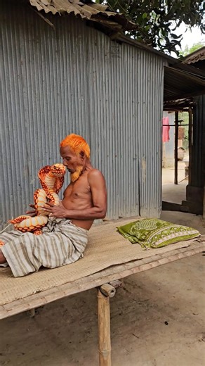 King Cobra Prank on Sleeping Grandpa! 😱 He Woke Up Terrified!