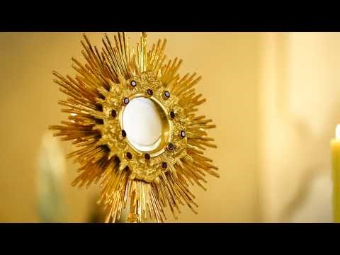 Santo Rosario - Non Consegnerò il Leone