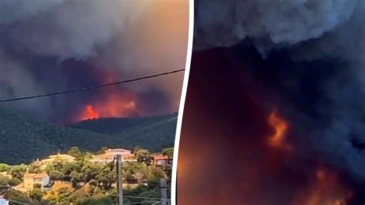 Massive wildfire sends thick smoke over natural park in Spain