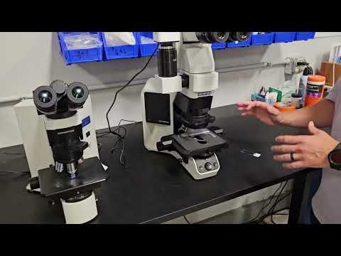 Olympus BX45 vs BX46 — The Ultimate Microscope Comparison | Microscope Marketplace