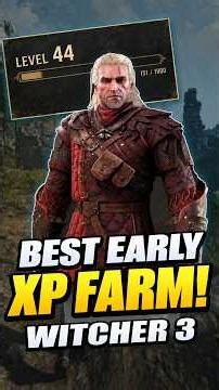 The BEST Early Game XP Farm in The Witcher 3