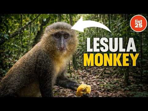 25 Rare Species Scientists Only Recently Confirmed Exist