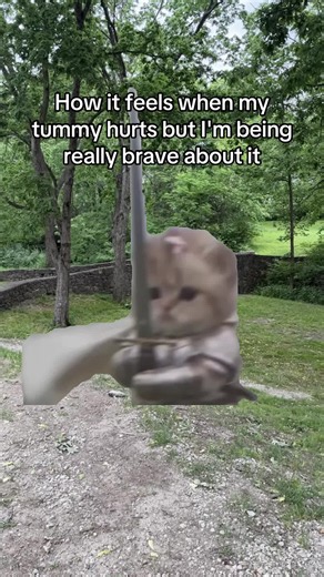 #MemeCut #Meme #MemeCut | meme