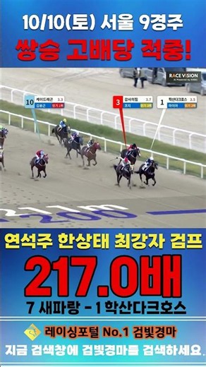 [서울 경마] 10월 10일 토요 9경주 연석주 한상태 최강자 검프 전문위원 쌍승 고배당 적중 #경마 #automobile #하이라이트 #horse #한국마사회 #korean
