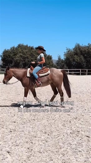 Preparation for the gallop change ✨ . Display Before you change is your horse loose in your hip . 😵‍💫 maintained 🙈 You can get more such exercises at the LT Academy 🙏🏼 training horses training #ltacademy | Me & Warthog
