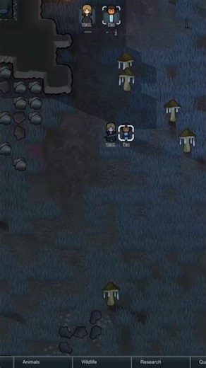 Pan's First Day as a Human Shield 🛡️ #gaming #rimworld #funny #clips